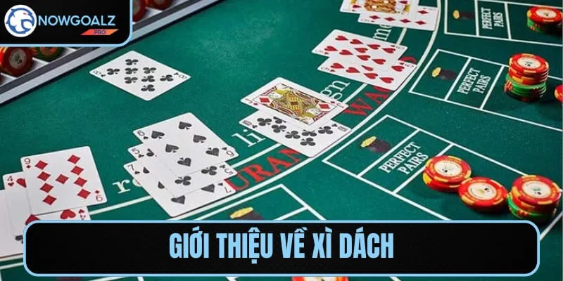 Xì Dách hấp dẫn, kết hợp giữa may mắn và chiến thuật