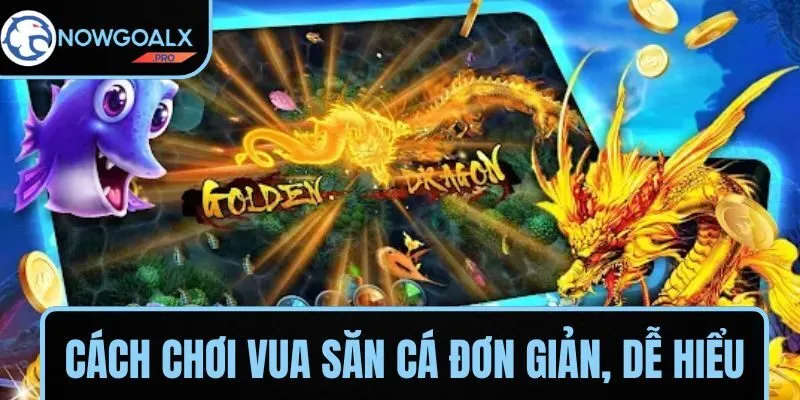 Tìm hiểu về cách chơi bắn cá dễ dàng cho người mới bắt đầu