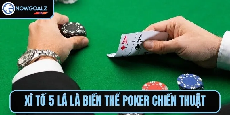 Xì tố 5 lá là biến thể poker đậm chất chiến thuật và kịch tính