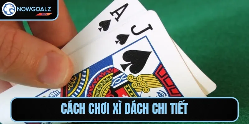 Xì dách là trò chơi bài thú vị với chiến lược và may mắn