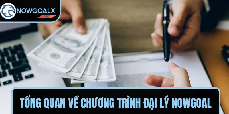 Lợi ích nhận được khi trở thành đại lý của NOWGOAL