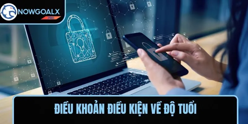 Điều khoản trong trách nhiệm pháp lý tại NOWGOAL