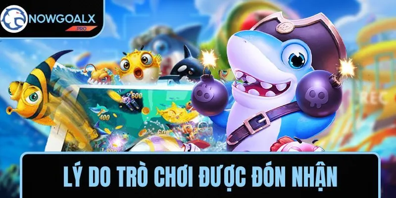 Lý do trò chơi được cược thủ đón nhận