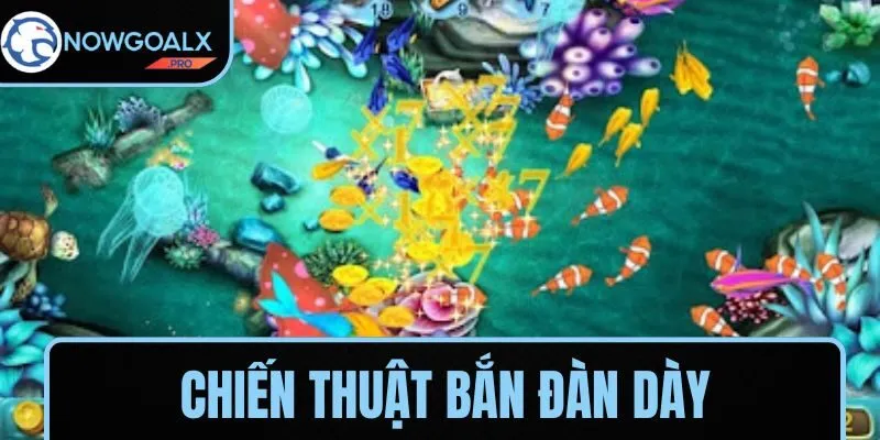 Kỹ thuật bắn được nhiều cá
