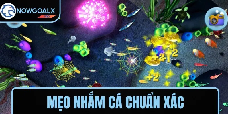 Mẹo nhắm cá chuẩn xác