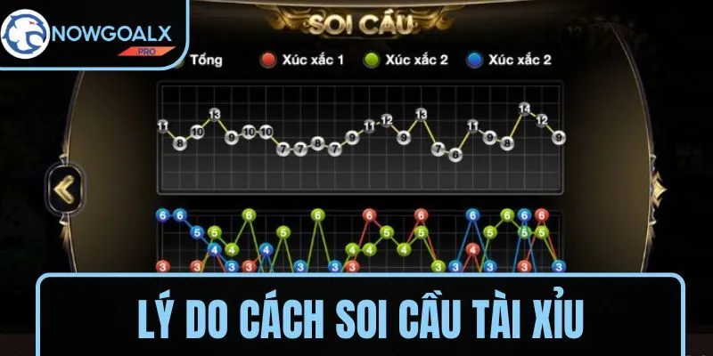 Lý do soi cầu trong tài xỉu
